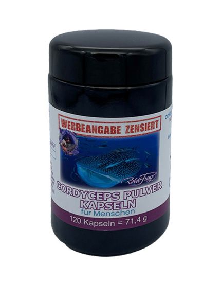 Cordyceps - 120 Kapseln
